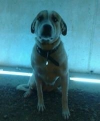 Javier Gutierrez Corredera