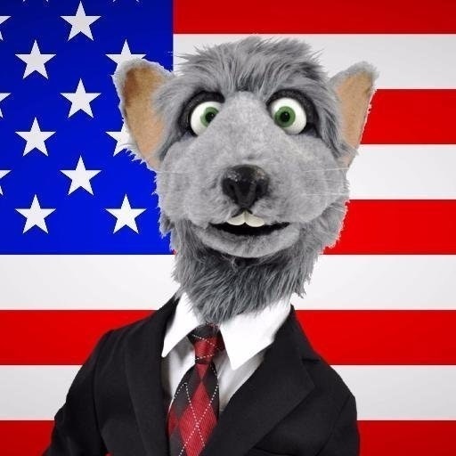 Vote Rat