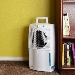 Best Dehumidifiers