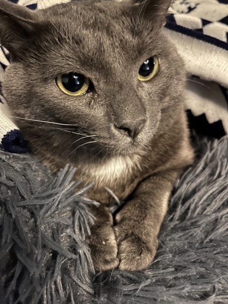 Кирилл Алмазов