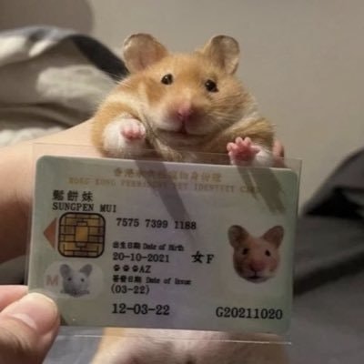 Мурат Илмирович