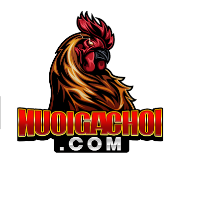 Nuôi gà chọi