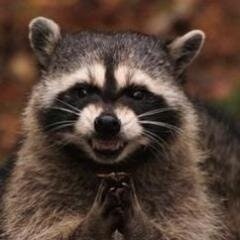 Кулеш Дмитрий