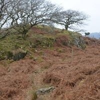 Andreas Soendergaard