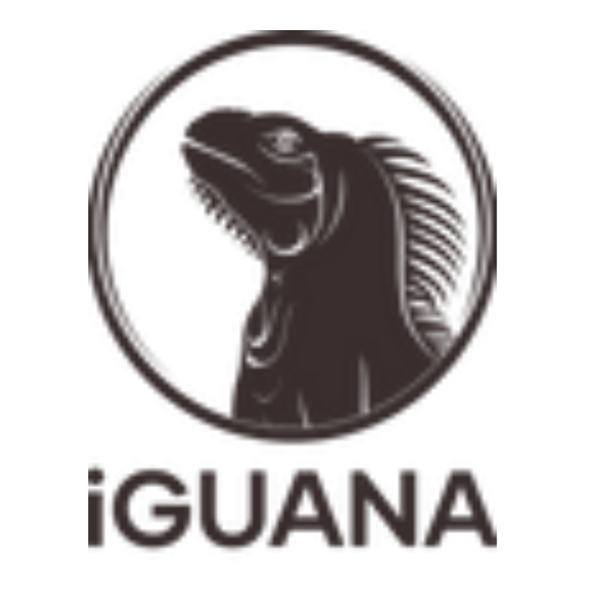 iGUANA Coffee
