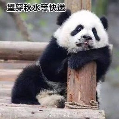 冬天的太阳非常远