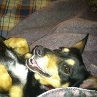 Giannis Makrygiannis