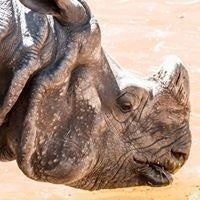 นิธิ แสนมโนรักษ์