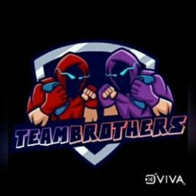 team brothers gaming