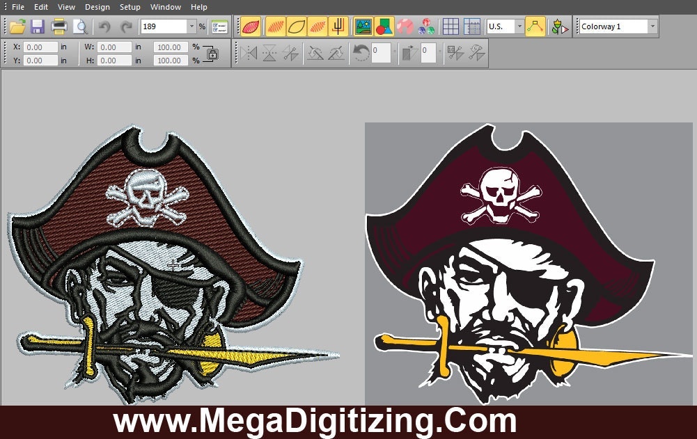 mega digitizing