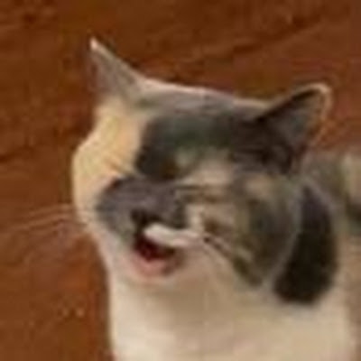 Joshua Andrei Martija