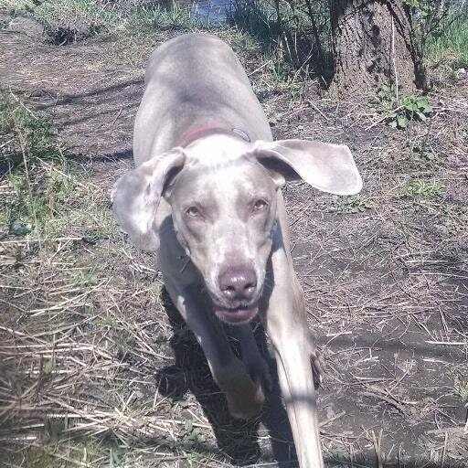 Original?auto=format&fit=crop&crop=faces&w=40&h=40