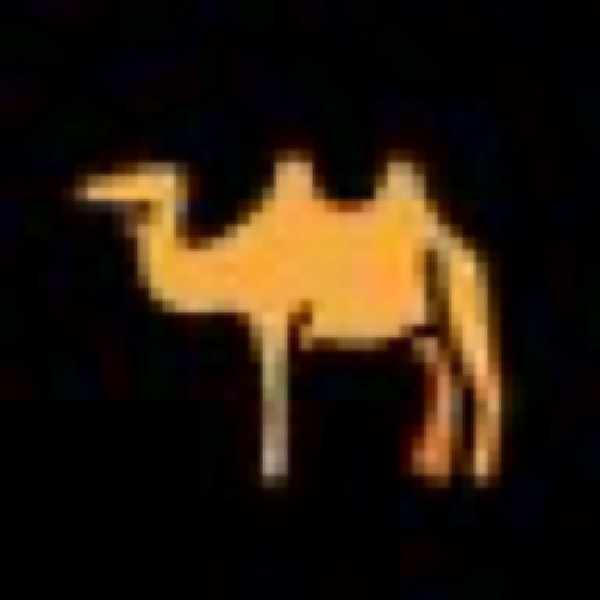 The Camel