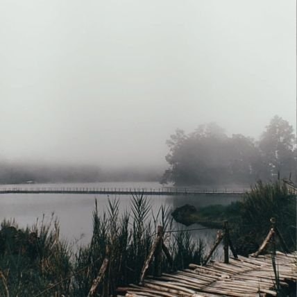 Acell | SuiFrens AI (💙,🧡)🚢⚡