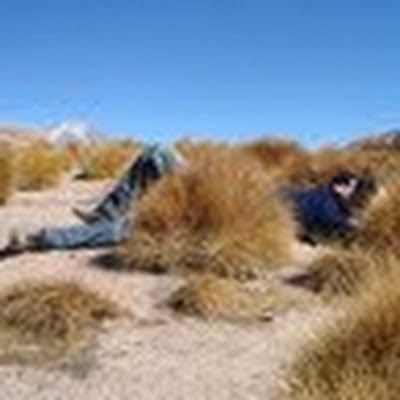 Gregory Van Droogenbroeck