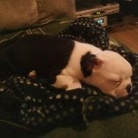 Debbie Oaster Tanner