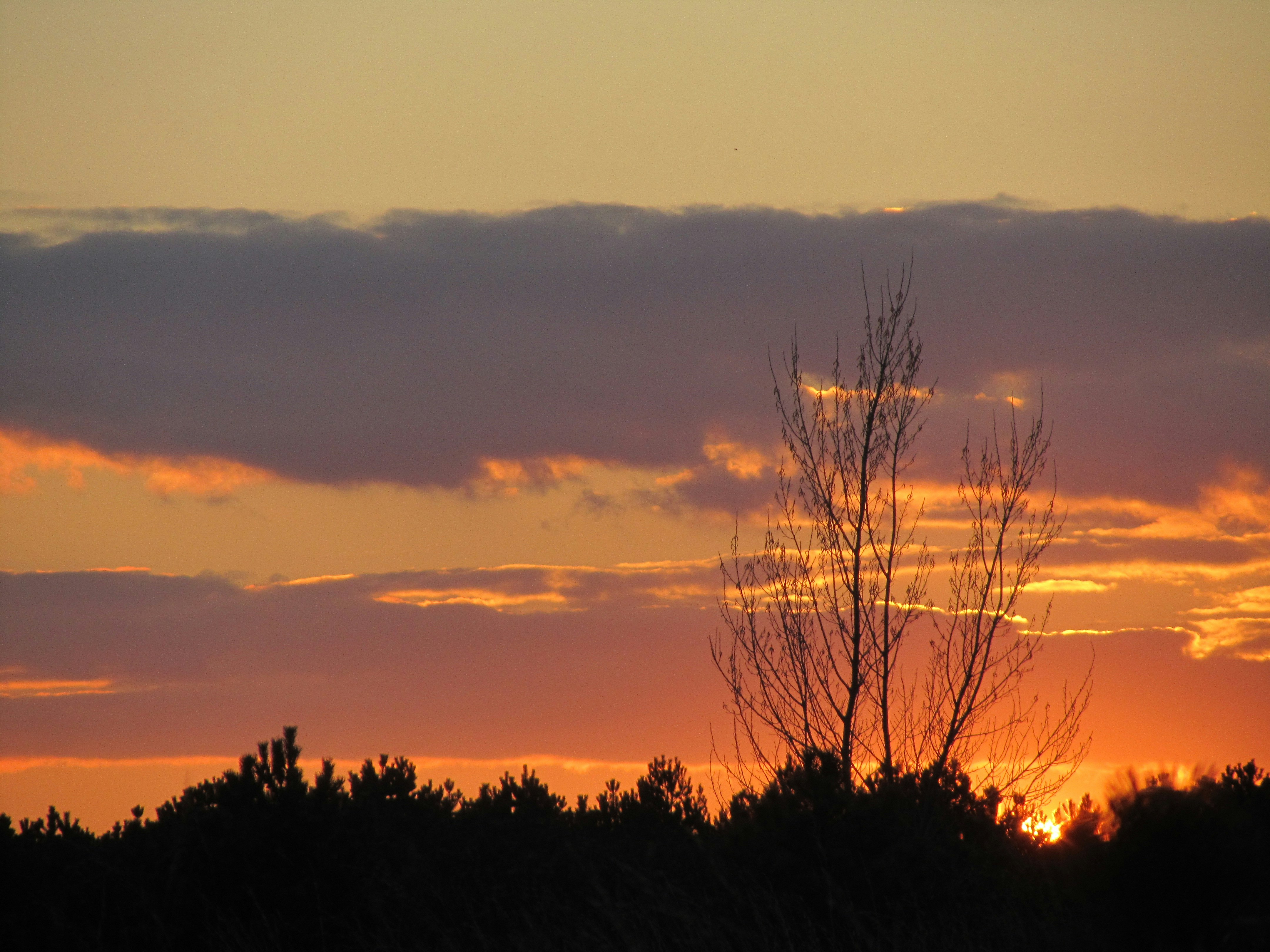 Cloudly: Anonymous Venting Chat