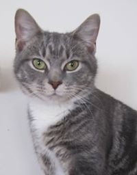 Sherri Caudill Lewis