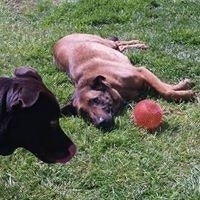 Jamie Kilb MorrisPease