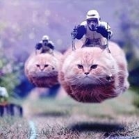 Danielle Rose Masters