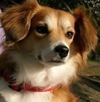 Firoze-Fiorouzeh Z. Salime