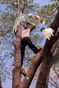 Carl Gavin Tewksbury Snodgrass 