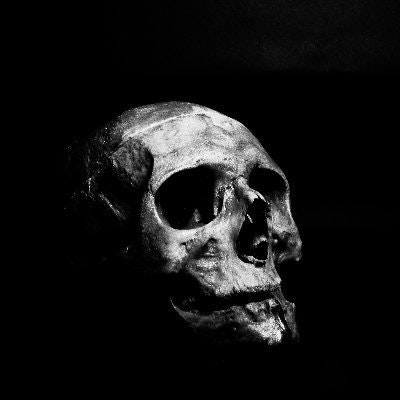 BAKUL KOPI 𝒇. ♦️| KartBox.io | FOCK IT!