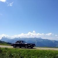 Alfred Mueller-Gladys