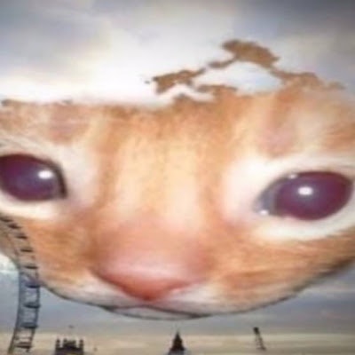 ProductHunt profile picture for @tranquilizer