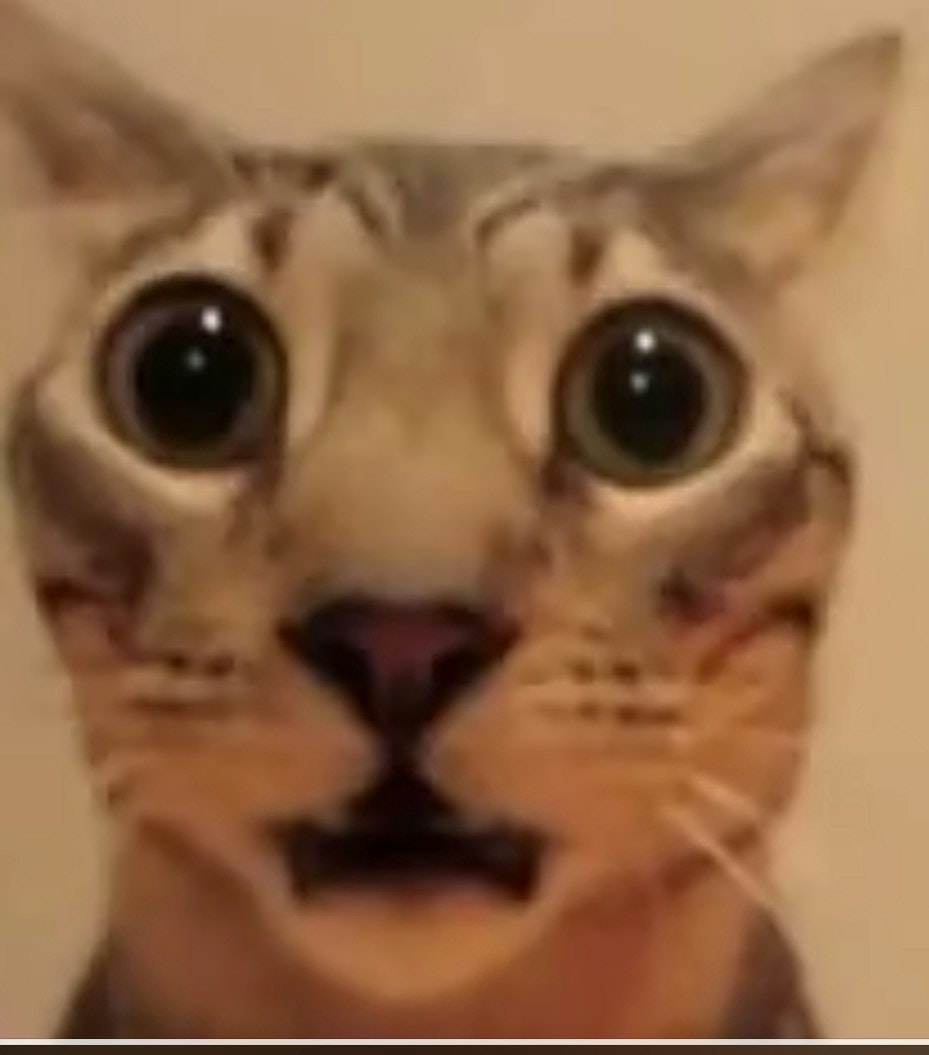 ProductHunt profile picture for @mime