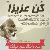 محمد عبدالسلام محمدسيف العبسي