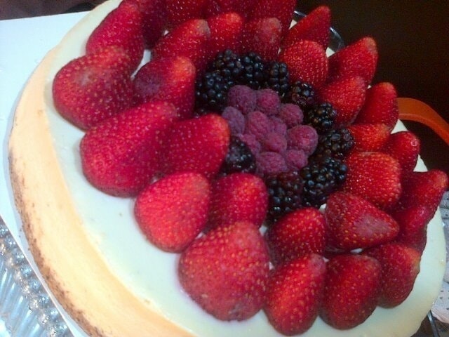 Guillermo Faura Vela