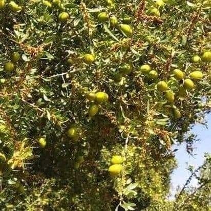 🇲🇦MOUHDA🇲🇦 HASSAN🇲🇦 XEC &🌺