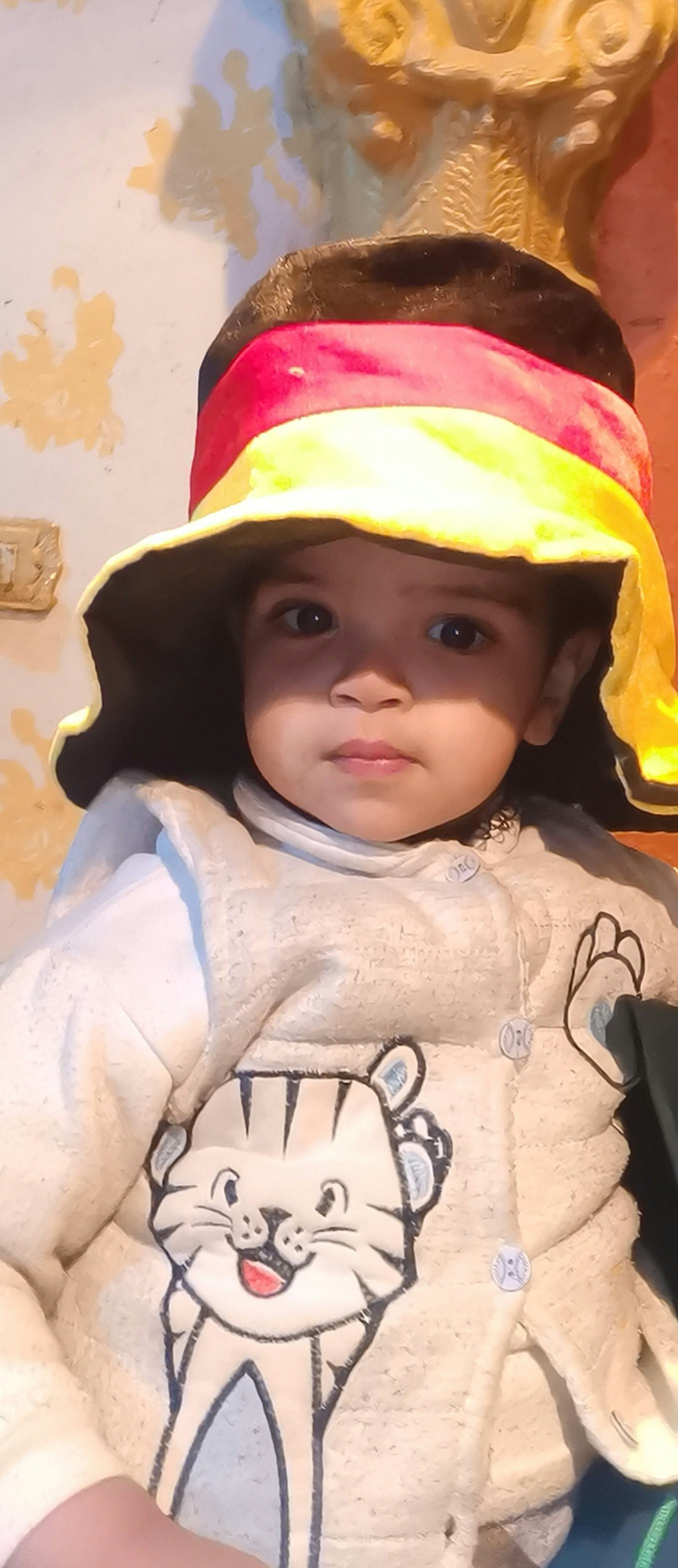 محمد الأمير ال تويجر