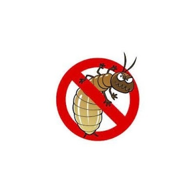 Diệt mối Anh tuấn