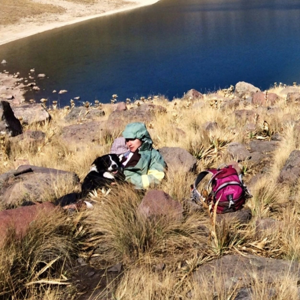 Pamelieux Alexándale