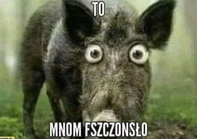 casebe fx