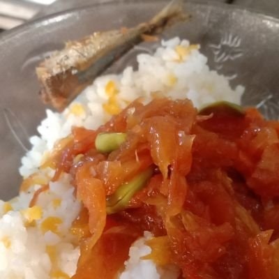 Akunke8 || Freetag 24/7