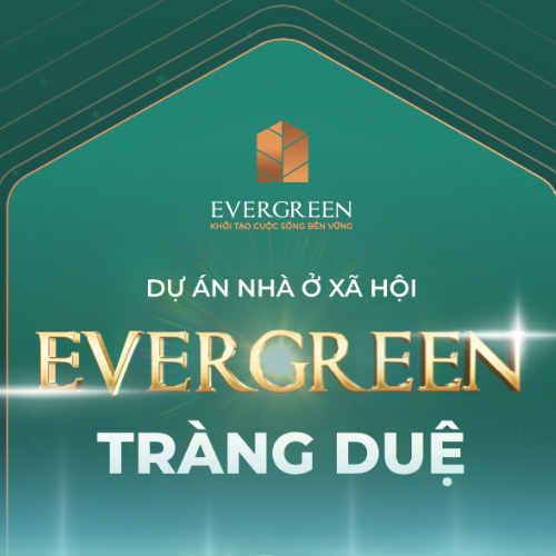 Evergreen Tràng Duệ