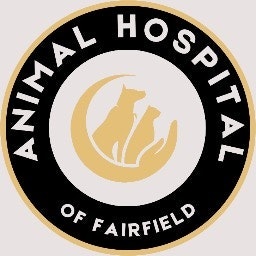 ProductHunt profile picture for @fairfield