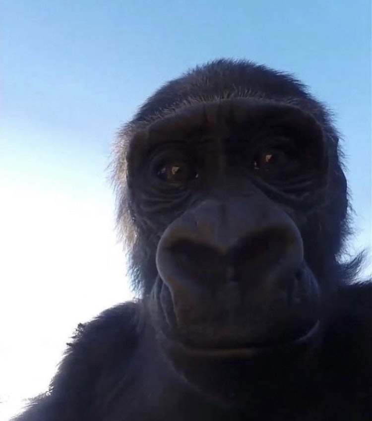 Kennethjake Doblado 🏴‍☠️ | 🪝