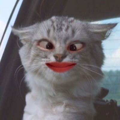 BIGWIN PLS🌱CATTIE🍀FREETAG