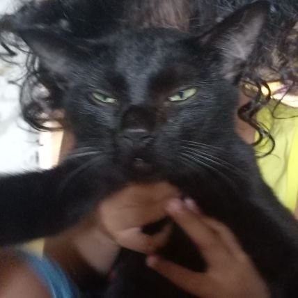 Happy Family 🥰💞💛💚💙🩵