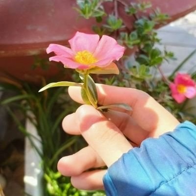 Abundance jalur langit || FREETAG UNLIMI