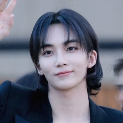 han ^^ soonyoung dayyy 🐯