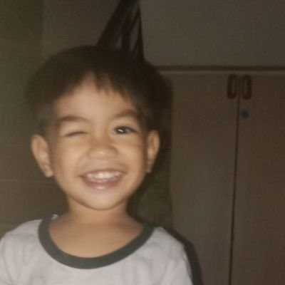 🌺🌹🎉pinkfongWINS🎉🌹🌺