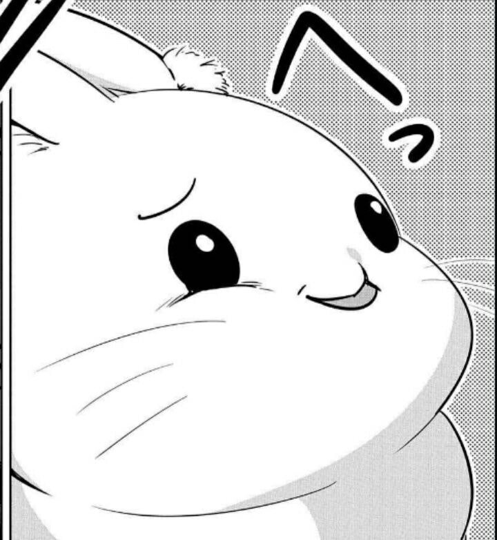 Joa ≽ܫ≼ — freetag