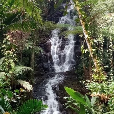 Koebi win terus6⃣5⃣🎹🇮🇩🌷🍀