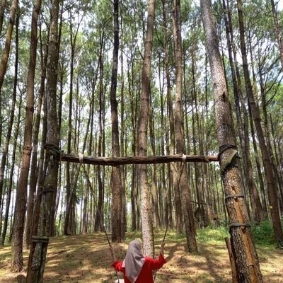 i n d 🦄 || free tag