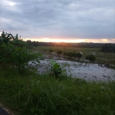 🌈there$ia_m@rtani🎋